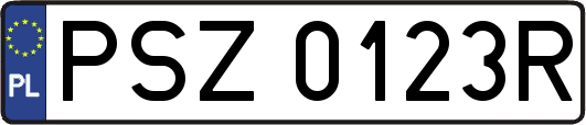 PSZ0123R