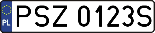 PSZ0123S