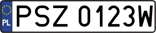 PSZ0123W
