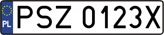 PSZ0123X