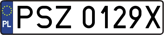 PSZ0129X