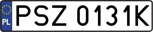 PSZ0131K