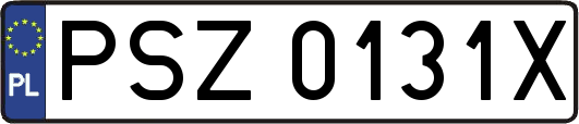 PSZ0131X