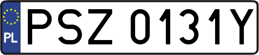 PSZ0131Y