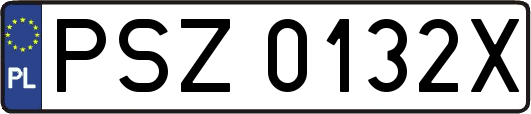 PSZ0132X