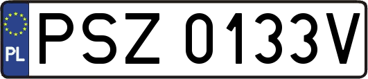 PSZ0133V