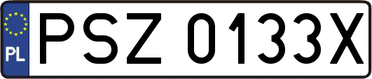 PSZ0133X