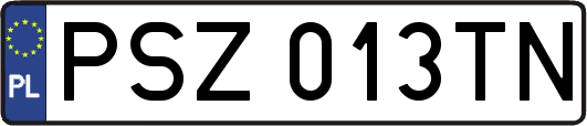 PSZ013TN