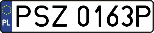 PSZ0163P