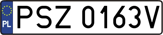 PSZ0163V