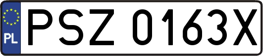 PSZ0163X