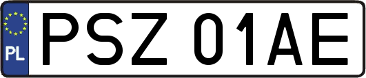 PSZ01AE