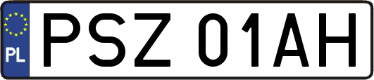 PSZ01AH