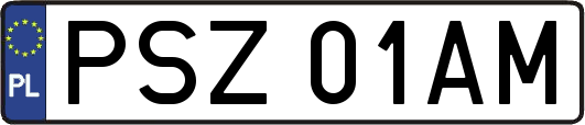 PSZ01AM