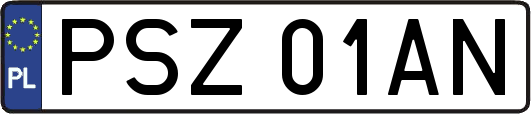 PSZ01AN