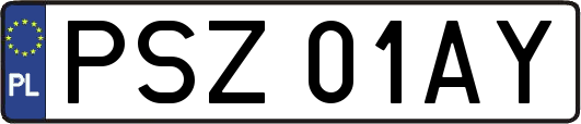 PSZ01AY