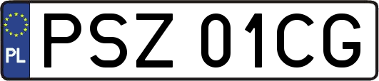 PSZ01CG