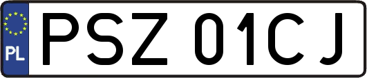 PSZ01CJ
