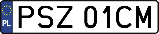 PSZ01CM