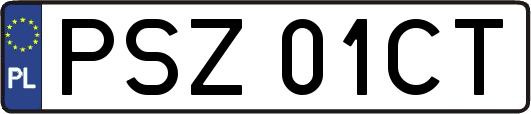 PSZ01CT