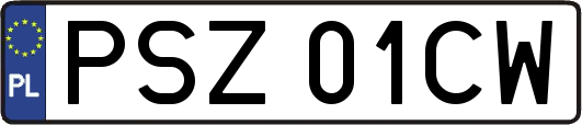 PSZ01CW