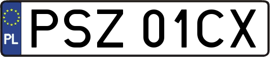 PSZ01CX