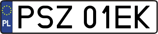 PSZ01EK