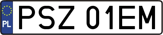 PSZ01EM