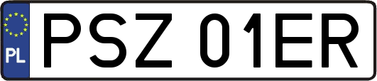 PSZ01ER