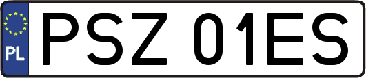 PSZ01ES