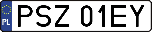 PSZ01EY