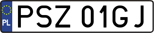 PSZ01GJ