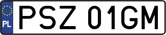 PSZ01GM