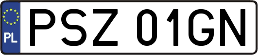 PSZ01GN