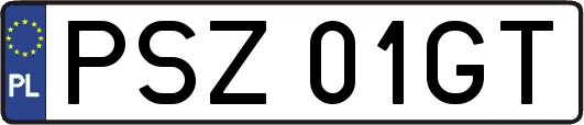PSZ01GT