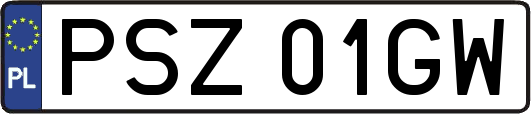 PSZ01GW