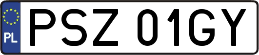 PSZ01GY