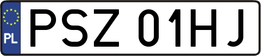 PSZ01HJ