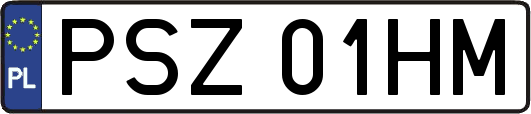 PSZ01HM