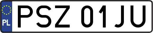 PSZ01JU