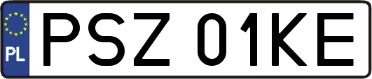 PSZ01KE