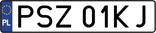 PSZ01KJ