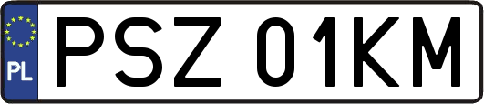 PSZ01KM