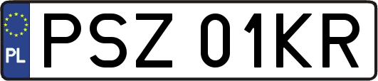 PSZ01KR