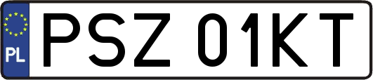 PSZ01KT