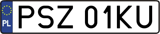 PSZ01KU