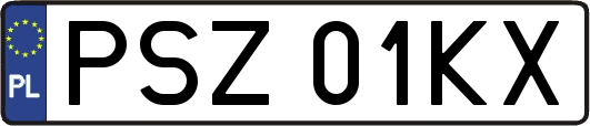 PSZ01KX