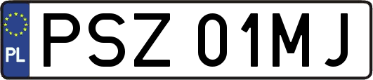 PSZ01MJ