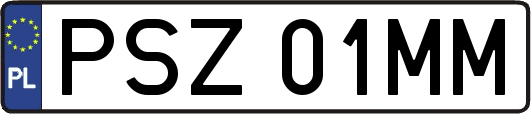 PSZ01MM