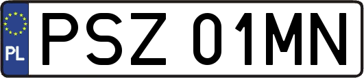 PSZ01MN